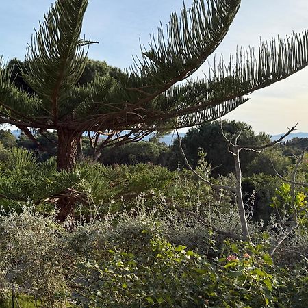 Villa Carpe Diem Le Lavandou Eksteriør bilde