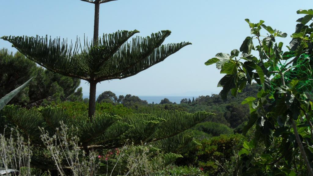 Villa Carpe Diem Le Lavandou Rom bilde