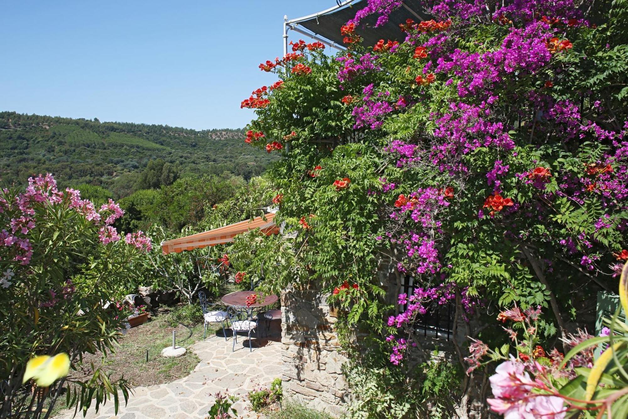 Villa Carpe Diem Le Lavandou Eksteriør bilde