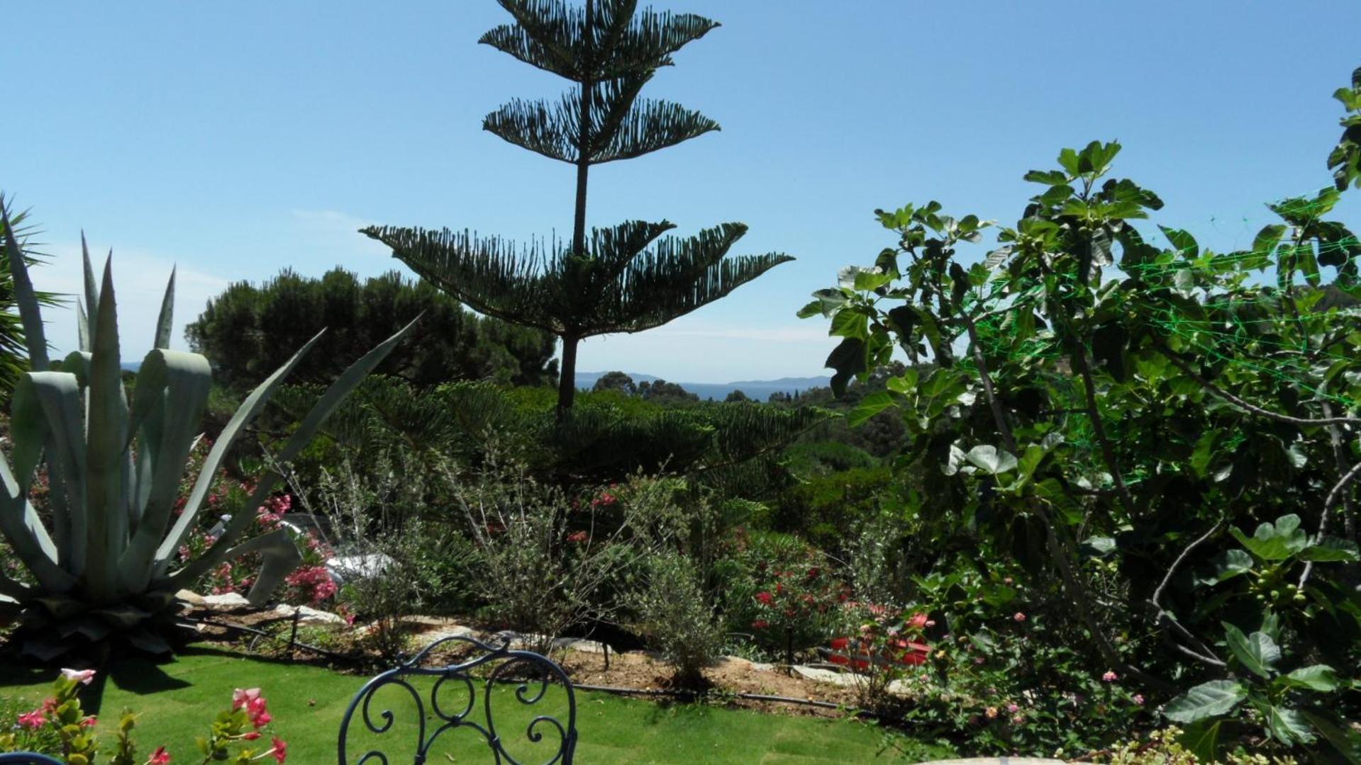 Villa Carpe Diem Le Lavandou Eksteriør bilde
